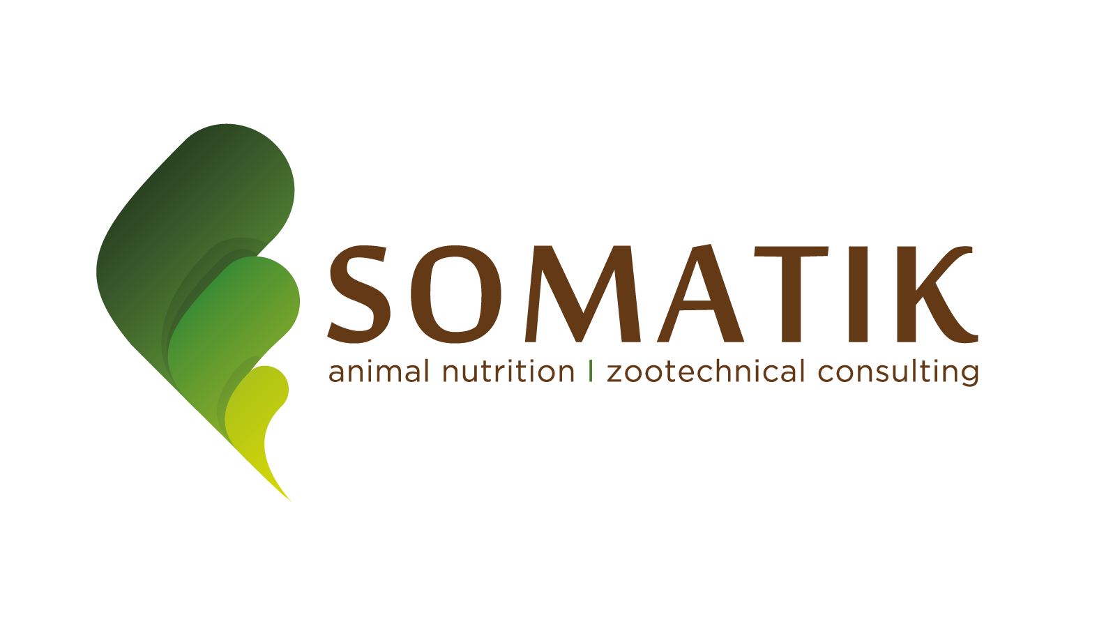 Somatik Logo